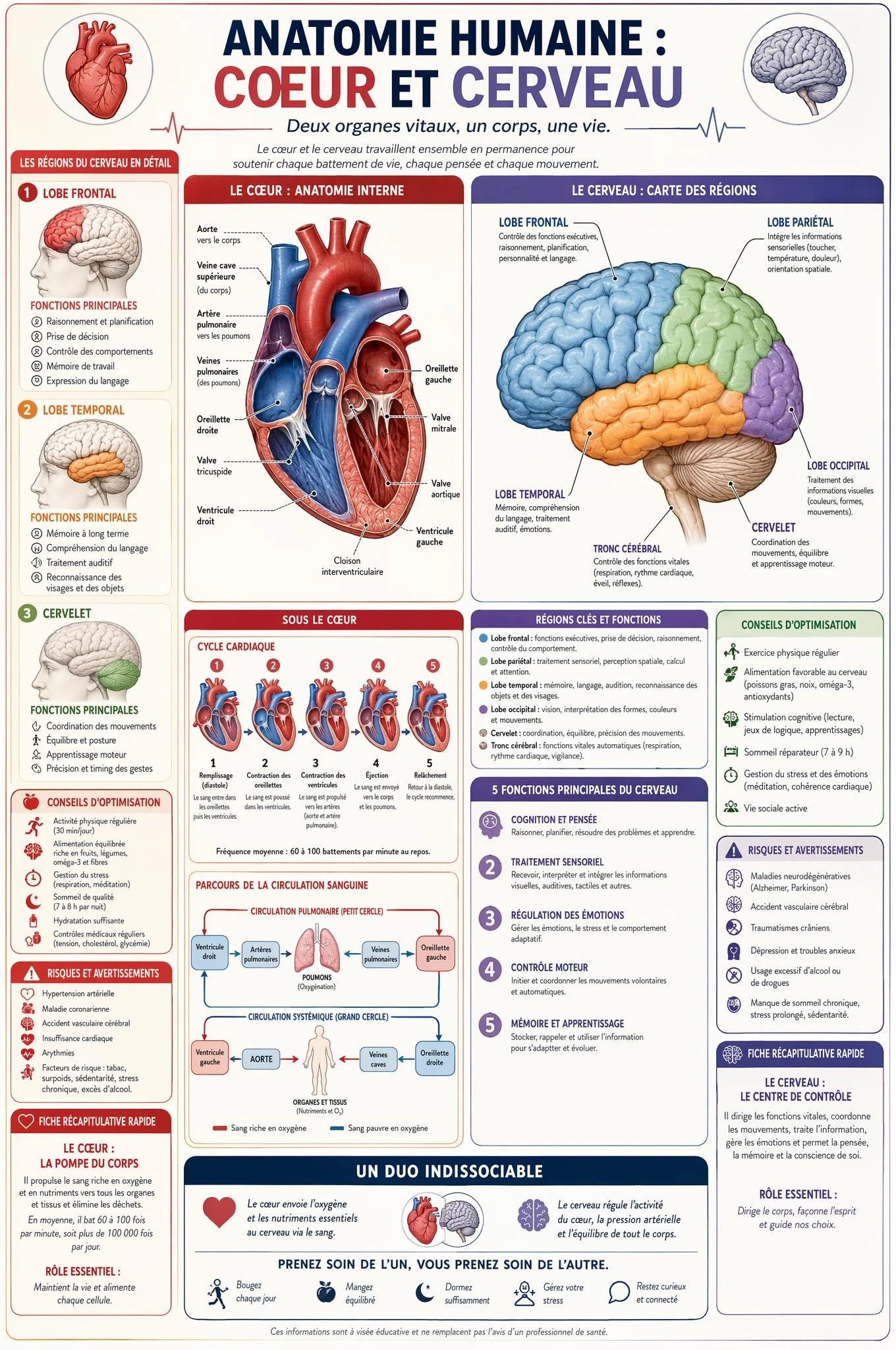 Infographies et visuels pédagogiques · 45